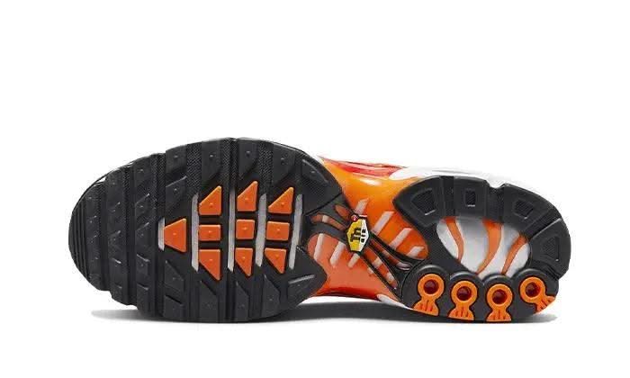 Air Max Plus Light Photography - MNR Sneakers