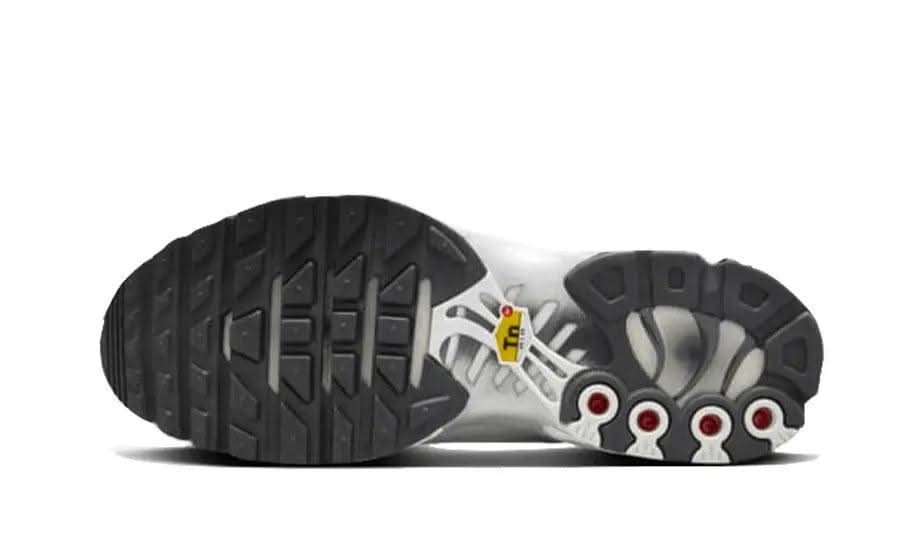 Air Max Plus Reflective Platinum - MNR Sneakers