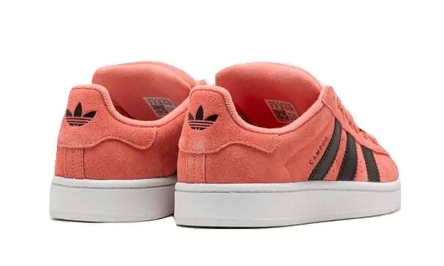 Campus 00s Wonder Clay - MNR Sneakers