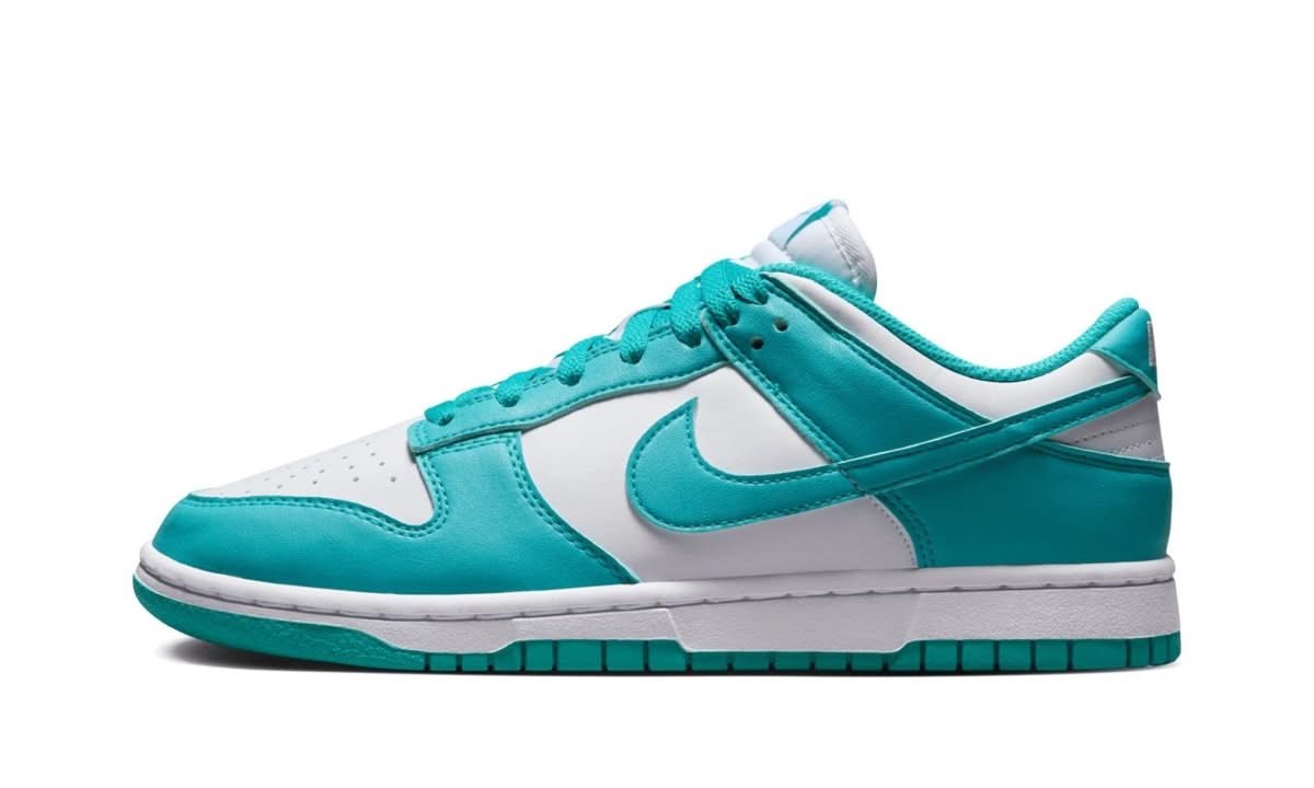 Dunk Low Next Nature Dusty Cactus - MNR Sneakers