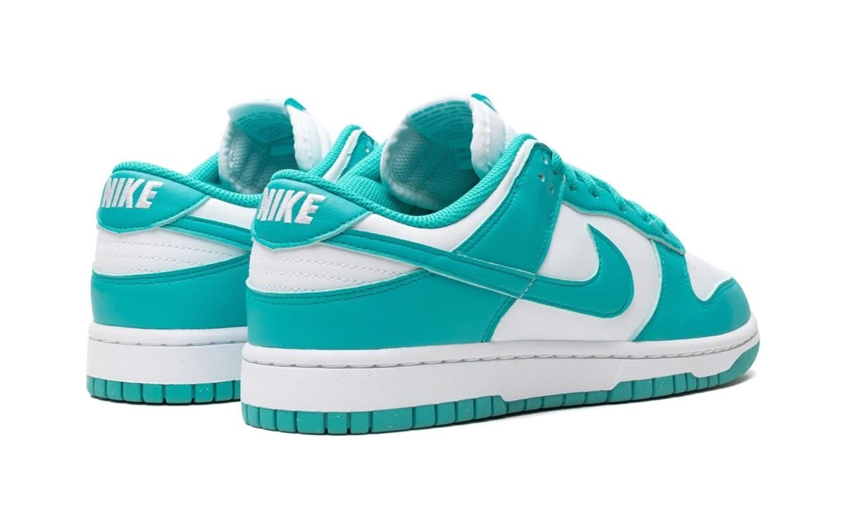 Dunk Low Next Nature Dusty Cactus - MNR Sneakers
