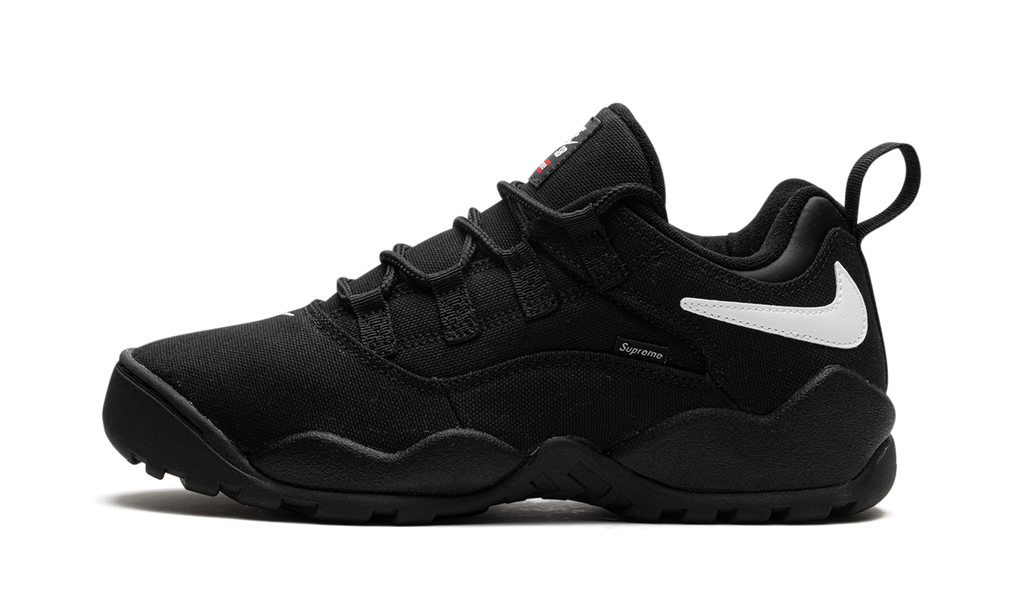 SB Darwin Low Supreme Black