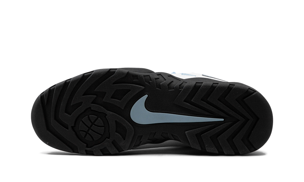 SB Darwin Low Supreme Segel