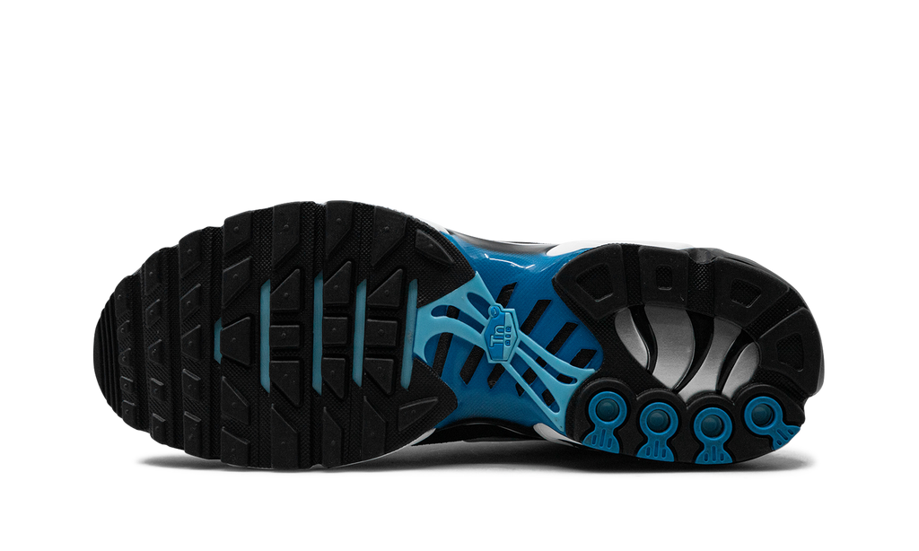 Air Max Plus Aquarius Blau