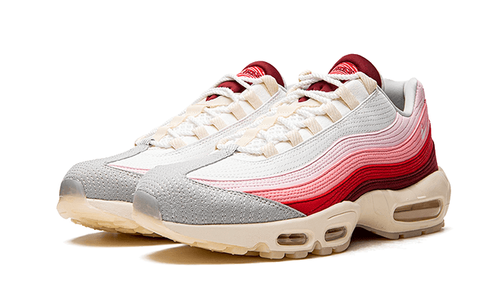 Air Max 95 Anatomy of Air - MNR Sneakers