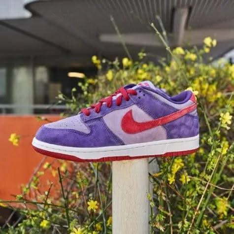 Dunk Low Plum - MNR Sneakers