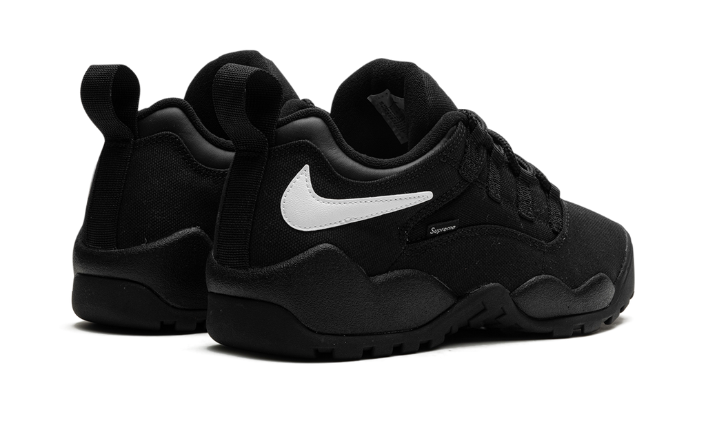 SB Darwin Low Supreme Schwarz