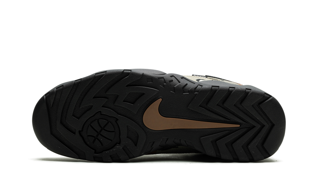 SB Darwin Low Supreme Desert Camo