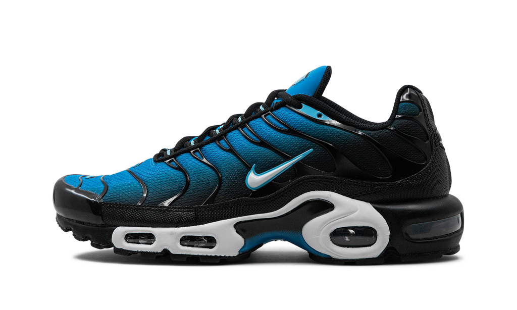 Air Max Plus Aquarius Blau