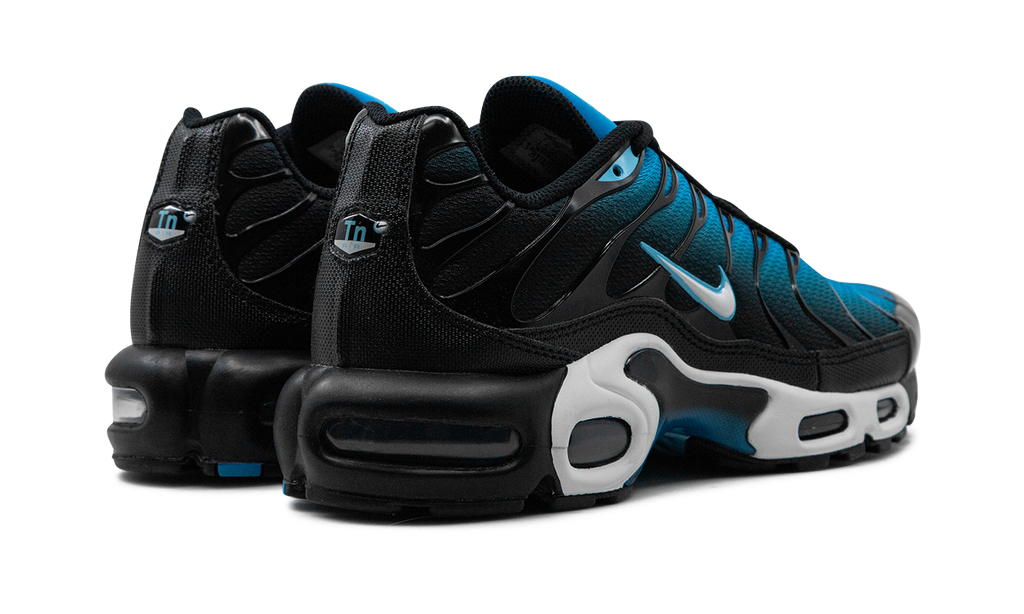 Air Max Plus Aquarius Blau